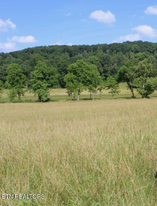 1361 Paint Rock Valley Rd, Philadelphia, TN 37846 - photo 1