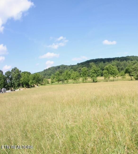 1361 Paint Rock Valley Rd, Philadelphia, TN 37846 - photo 2