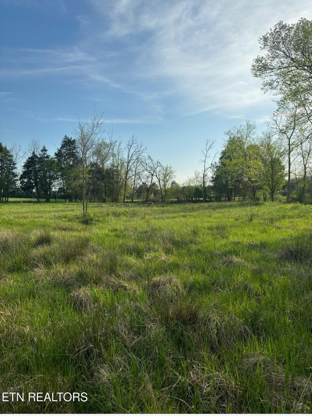 1361 Paint Rock Valley Rd, Philadelphia, TN 37846 - photo 4