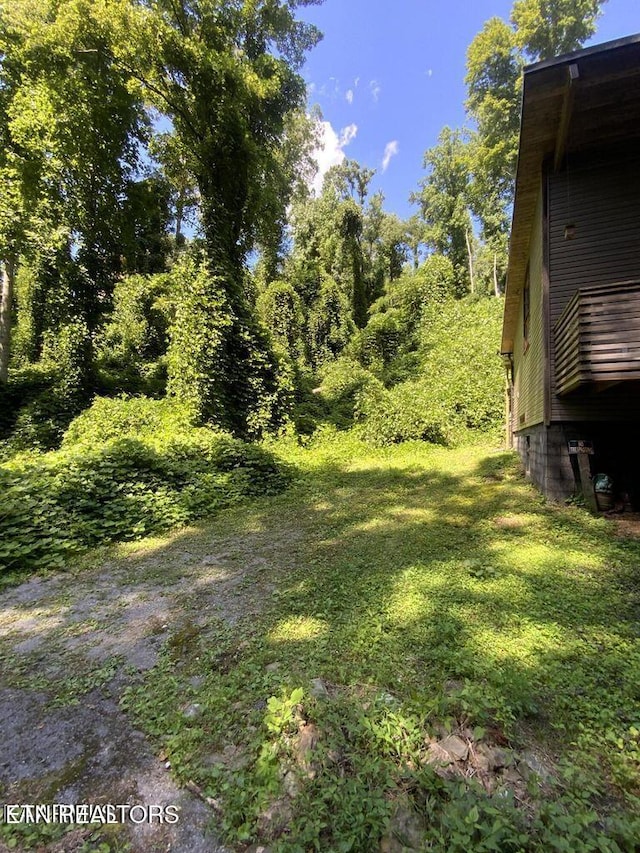 661 Turkey Nest Rd, Gatlinburg, TN 37738 - photo 5