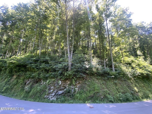 661 Turkey Nest Rd, Gatlinburg, TN 37738 - photo 7