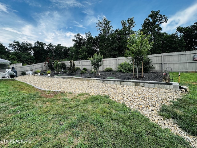 542 Cliff St, Morristown, TN 37814 - photo 19