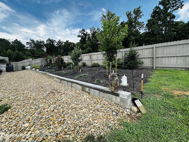 542 Cliff St, Morristown, TN 37814 - photo 22