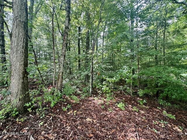 131 Ridge Rd, Lancing, TN 37770 - photo 7