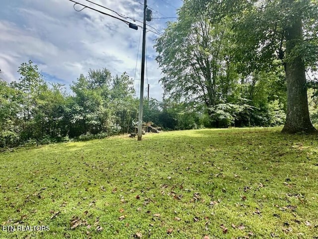 131 Ridge Rd, Lancing, TN 37770 - photo 5