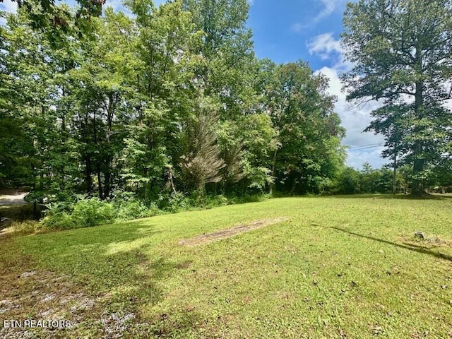 131 Ridge Rd, Lancing, TN 37770 - photo 6