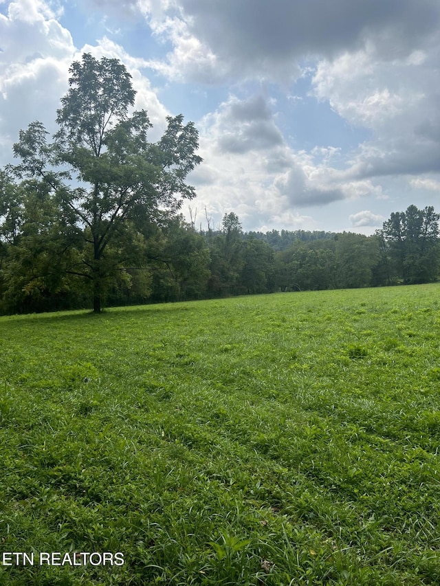 6116 Paint Rock Rd, Oneida, TN 37841 - photo 9