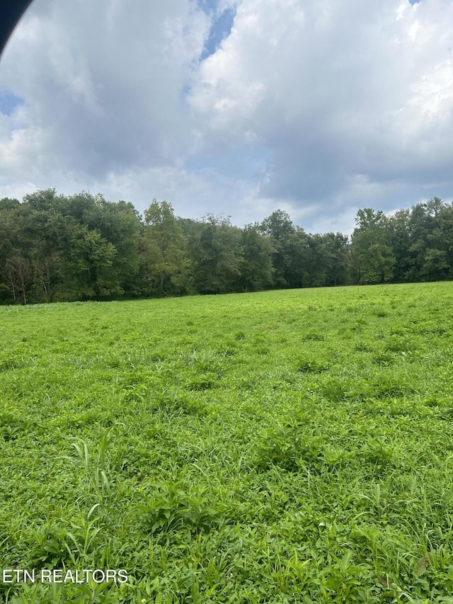 6116 Paint Rock Rd, Oneida, TN 37841 - photo 11