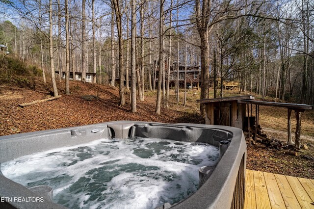 925/915 Newcombe Branch Way, Cosby, TN 37722 - photo 39