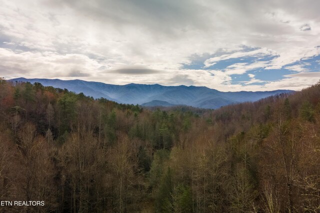 925/915 Newcombe Branch Way, Cosby, TN 37722 - photo 41