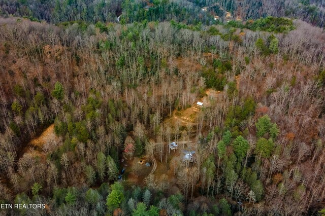 925/915 Newcombe Branch Way, Cosby, TN 37722 - photo 44