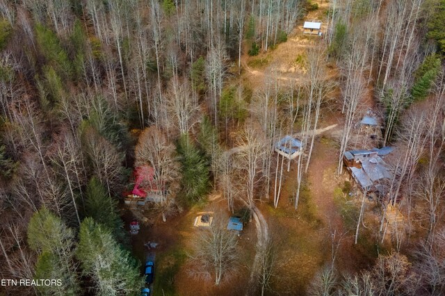925/915 Newcombe Branch Way, Cosby, TN 37722 - photo 45