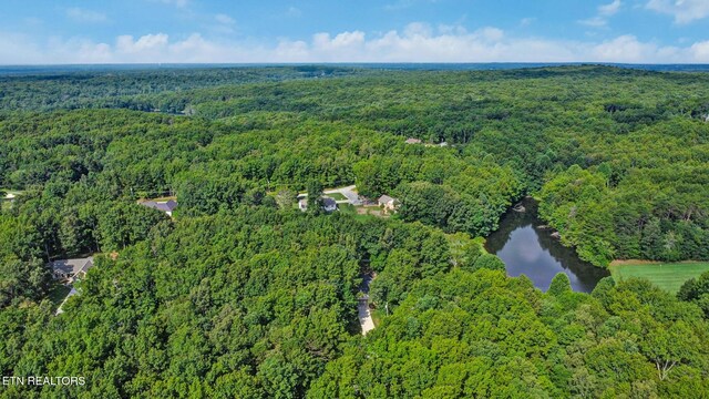 37 Clinebrook Dr, Crossville, TN 38558 - photo 38