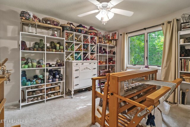 37 Clinebrook Dr, Crossville, TN 38558 - photo 19