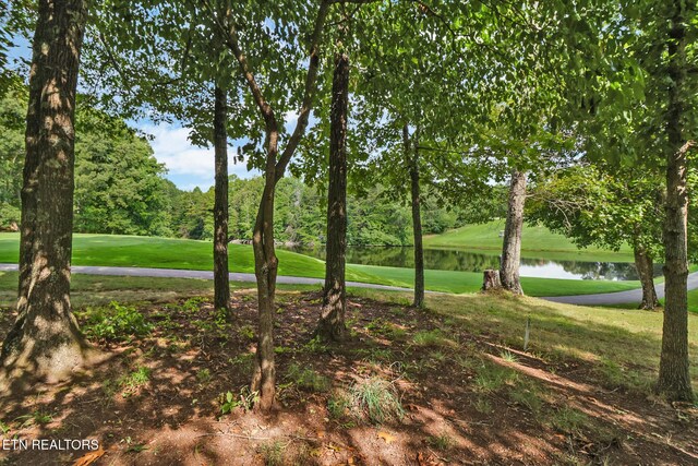 37 Clinebrook Dr, Crossville, TN 38558 - photo 36