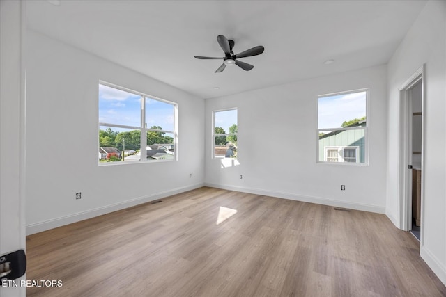 808 Belleaire Ave, Knoxville, TN 37921 - photo 17