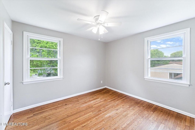 3311 Coffman Dr, Knoxville, TN 37920 - photo 10