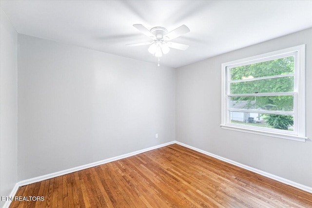 3311 Coffman Dr, Knoxville, TN 37920 - photo 13