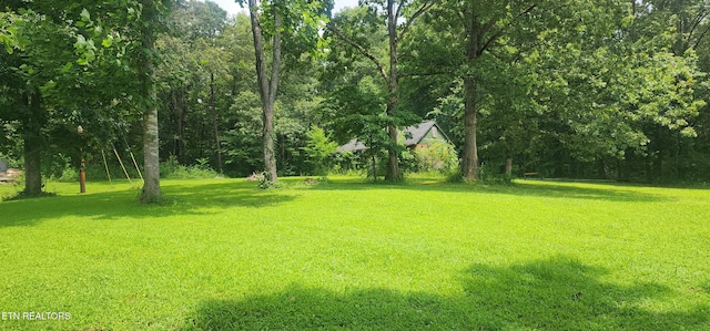 101 Mountain View Rd, Robbins, TN 37852 - photo 29