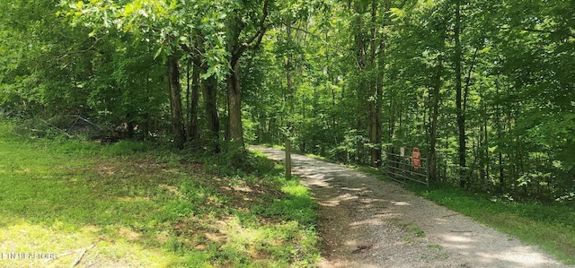 101 Mountain View Rd, Robbins, TN 37852 - photo 35