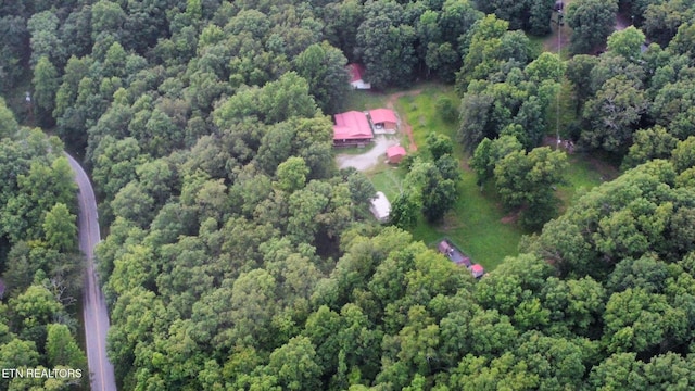 101 Mountain View Rd, Robbins, TN 37852 - photo 6