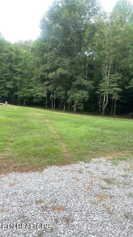 113 Mcspadden Branch Rd, Vonore, TN 37885 - photo 17
