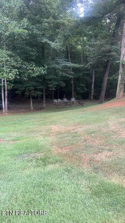 113 Mcspadden Branch Rd, Vonore, TN 37885 - photo 29