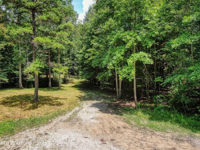 523 General Ln, Jamestown, TN 38556 - photo 4