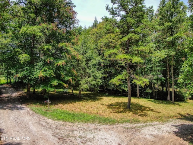 523 General Ln, Jamestown, TN 38556 - photo 5