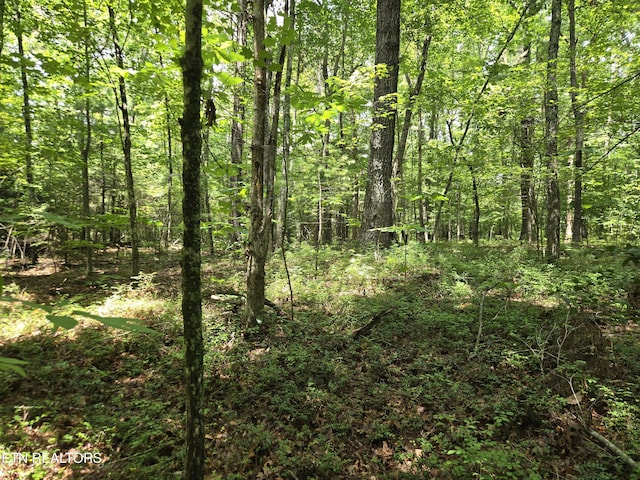 523 General Ln, Jamestown, TN 38556 - photo 8