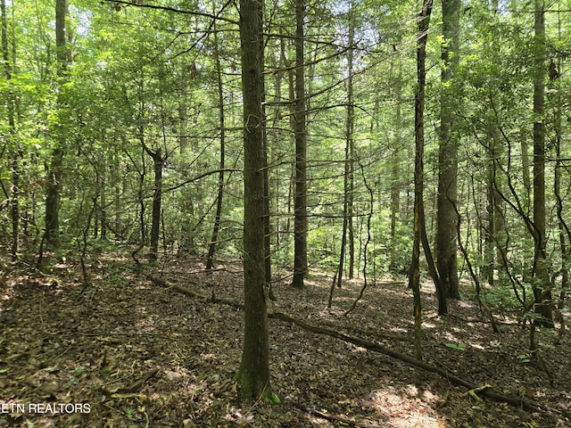 523 General Ln, Jamestown, TN 38556 - photo 10