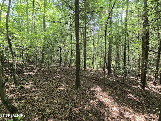 523 General Ln, Jamestown, TN 38556 - photo 12