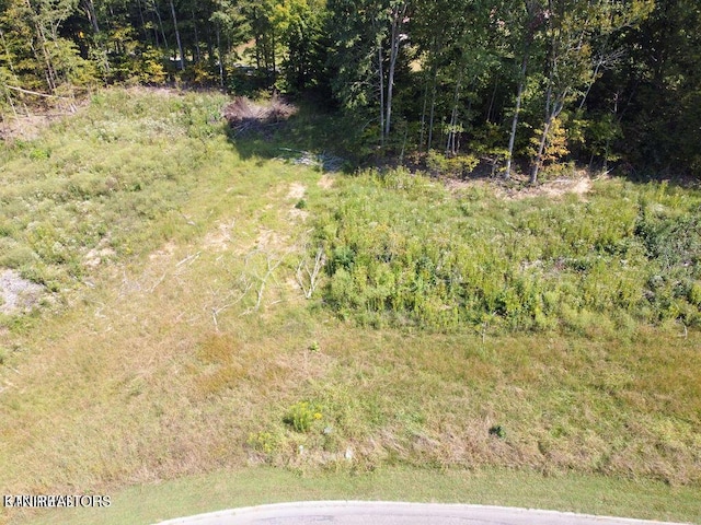 359 Shadows Lawn Dr, Athens, TN 37303 - photo 2