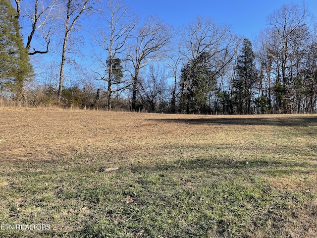 359 Shadows Lawn Dr, Athens, TN 37303 - photo 4