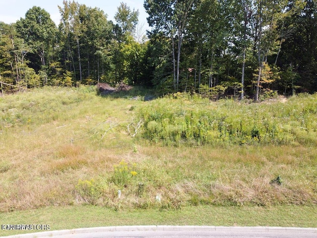 359 Shadows Lawn Dr, Athens, TN 37303 - photo 1