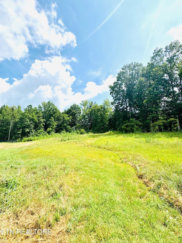 359 Shadows Lawn Dr, Athens, TN 37303 - photo 3