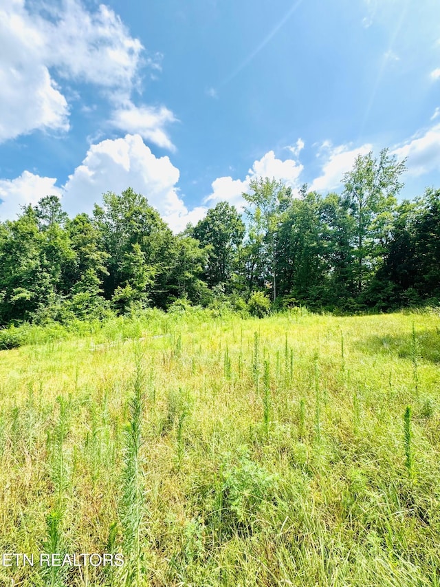 359 Shadows Lawn Dr, Athens, TN 37303 - photo 5