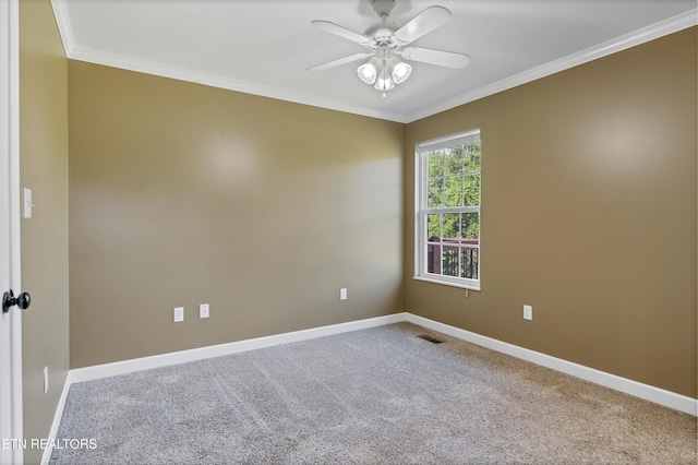 957 Lane Dr, Friendsville, TN 37737 - photo 46