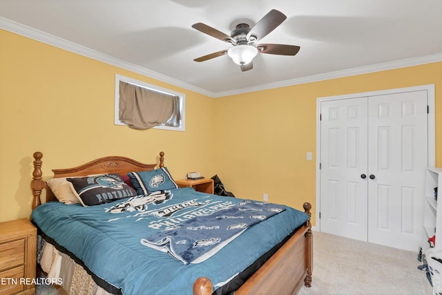 957 Lane Dr, Friendsville, TN 37737 - photo 52