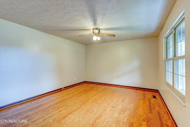 7313 Evanel Way, Powell, TN 37849 - photo 8