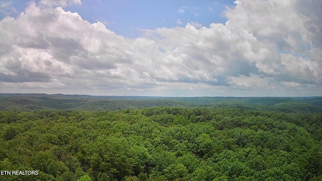 TRACT4 Rob Watson Rd, Oneida, TN 37841 - photo 1