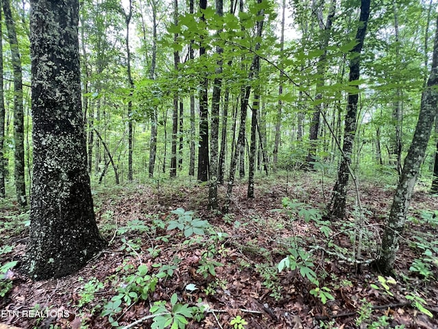 TRACT4 Rob Watson Rd, Oneida, TN 37841 - photo 2