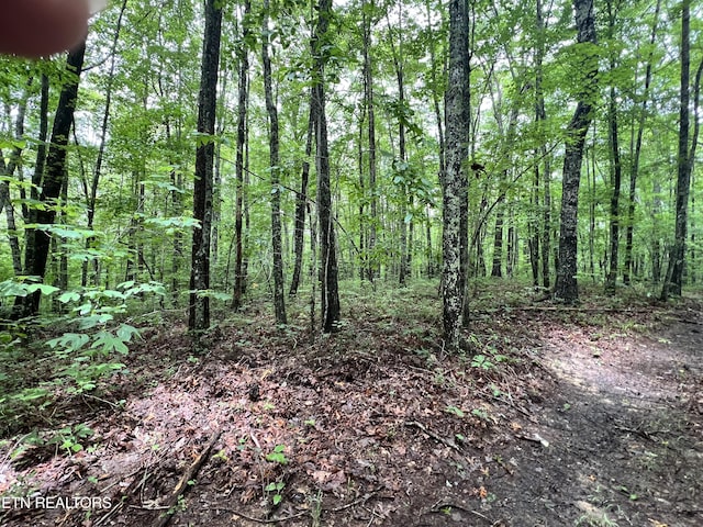 TRACT4 Rob Watson Rd, Oneida, TN 37841 - photo 3