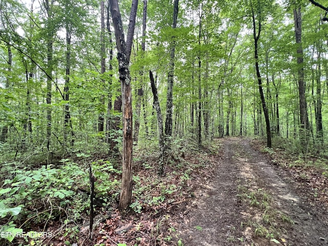 TRACT4 Rob Watson Rd, Oneida, TN 37841 - photo 5