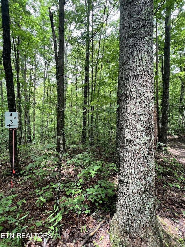 TRACT4 Rob Watson Rd, Oneida, TN 37841 - photo 4