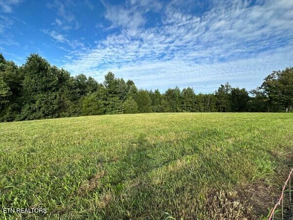  - photo 14