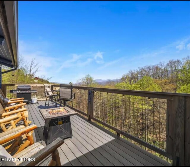 1023 Twin Oaks Rd, Gatlinburg, TN 37738 - photo 18