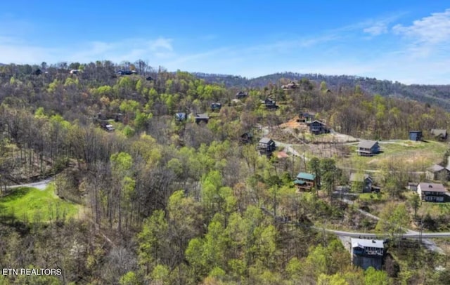 1023 Twin Oaks Rd, Gatlinburg, TN 37738 - photo 20