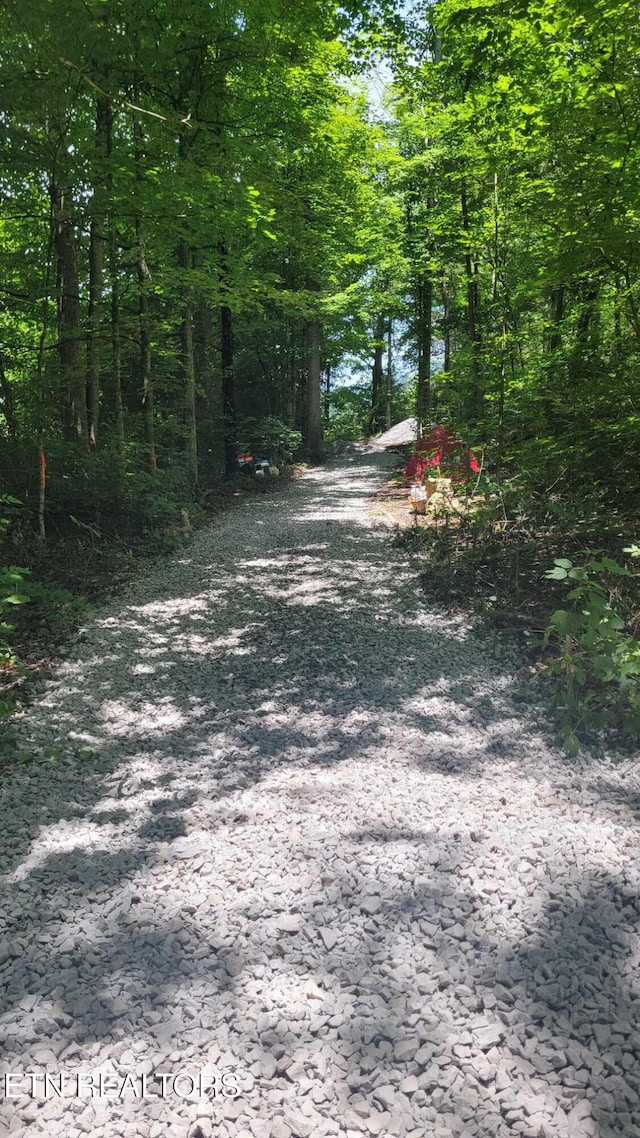 450 Butler Rd, Decatur, TN 37322 - photo 1