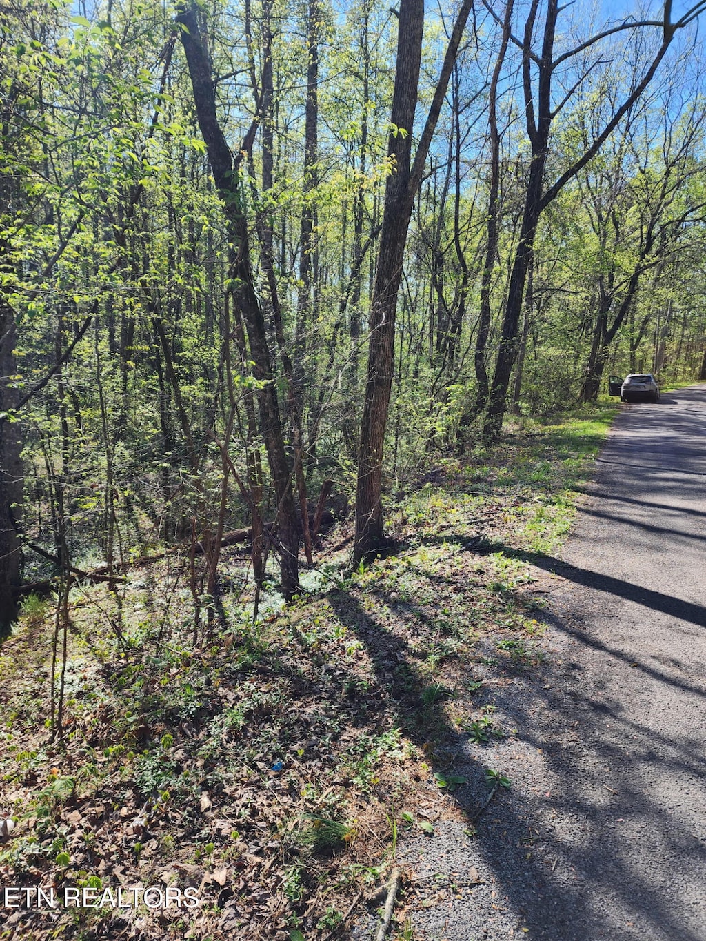 450 Butler Rd, Decatur, TN 37322 - photo 3